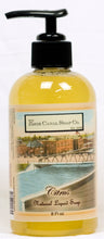 Load image into Gallery viewer, Erie Canal Liquid Soap
